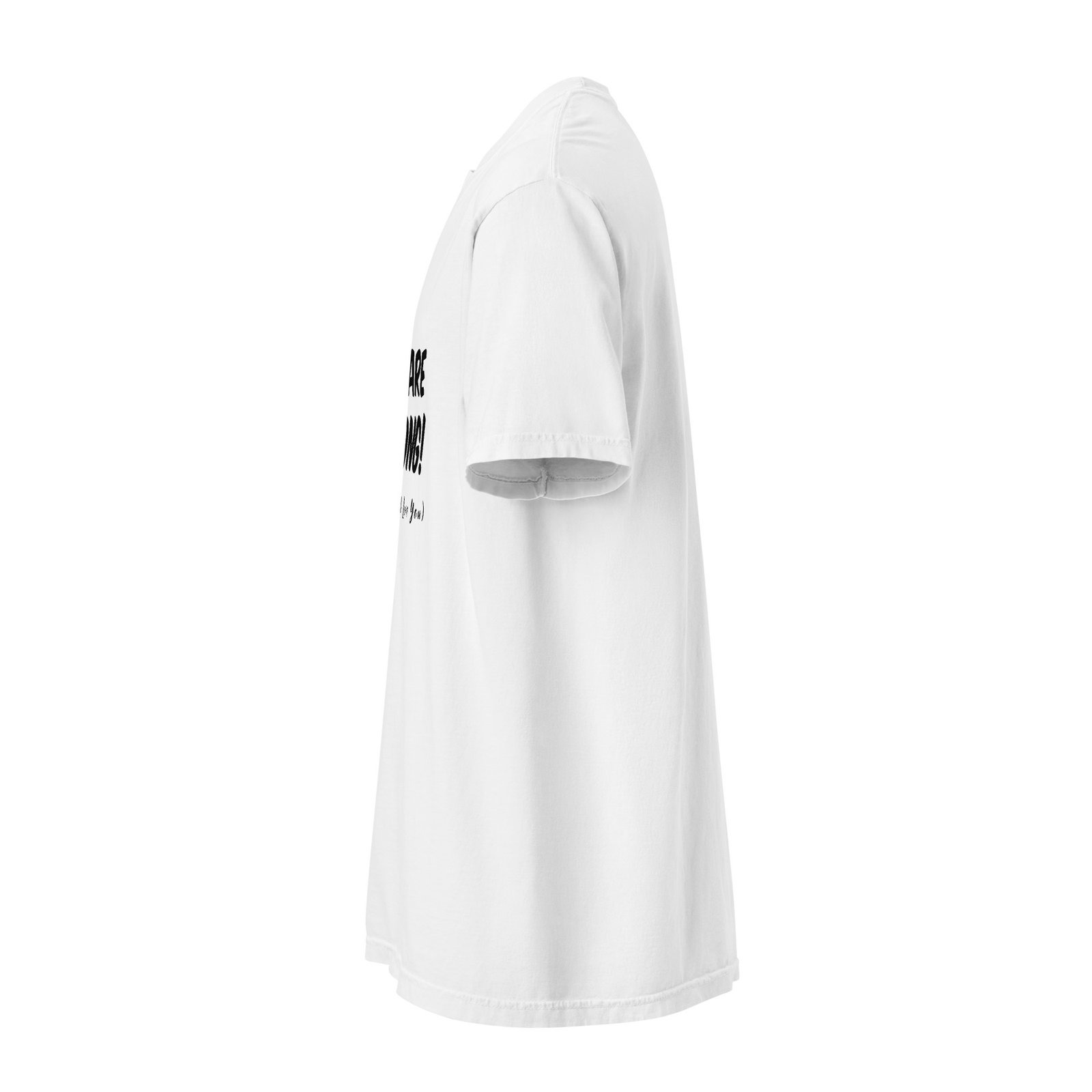 You Are Wrong (But I Still Love You) T Shirt - Image 4