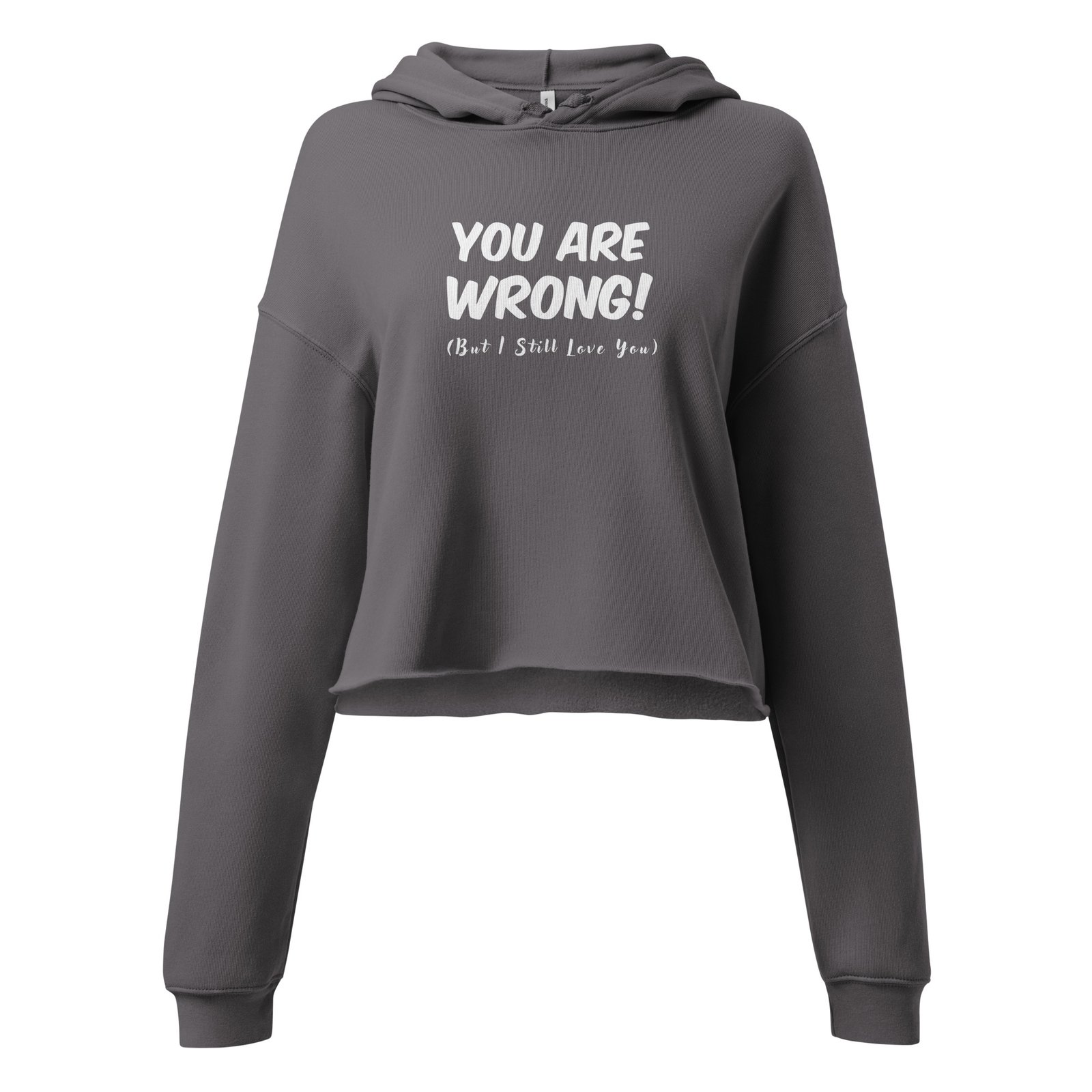 You Are Wrong (But I still Love You) Crop Hoodie - Image 2